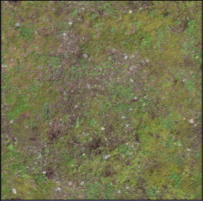 Diffuse/Albedo Texture